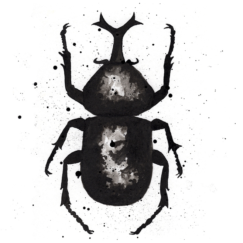 Drawn Beetle.jpg