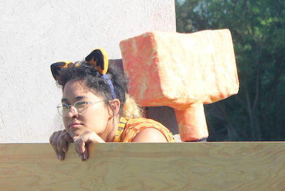 File:Cat perch.png