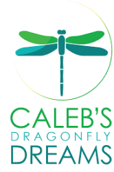 Caleb's Dragonfly Dreams.png