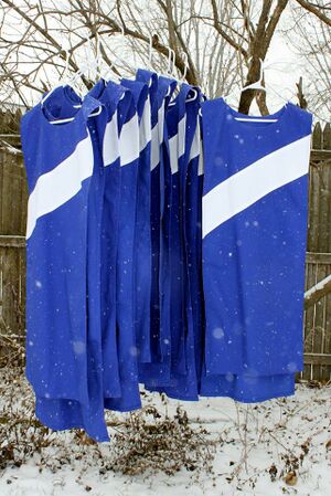 Army of Morva Tabards.jpg