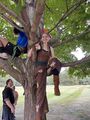 Thumbnail for version as of 16:03, 22 June 2026